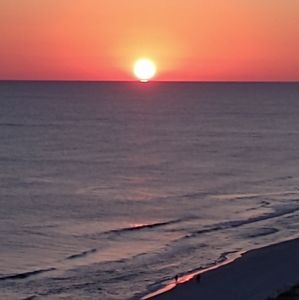 Meet your Posher, Shaunna